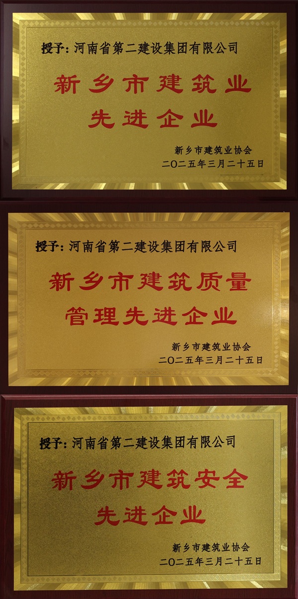 集团公司奖牌拼图.jpg